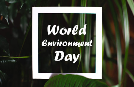 Square frame with world environment day text on green plant leaves background. Concept card on the...