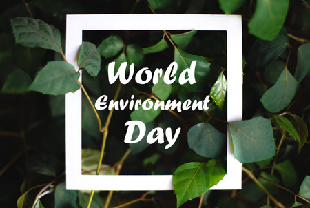 Square frame with world environment day text on green plant leaves background. Concept card on the...