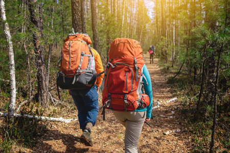 Couple of hikers in the forest walking with backpacks in the sunset from the back. The concept of adventure travel, tourism, Hiking and friendship of peoples. Sporting eventの写真素材