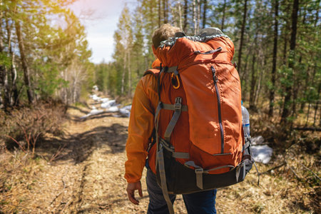 Hiker in the forest walking with backpack in the sunset from the back. The concept of adventure...