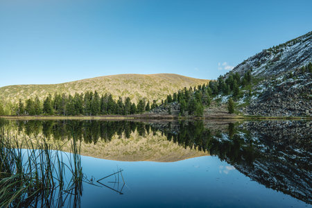 Beautiful view of mountain river among the trees of the forest and rocks on the background peaks