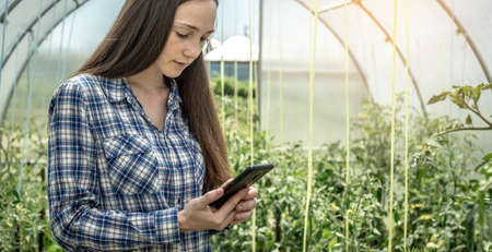 Young woman is standing in a greenhouse with tomato plants with a phone in her hand and looking at his screen.の写真素材