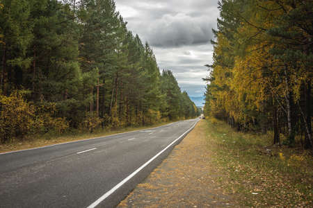 A flat, empty asphalt road along an autumn forest with golden fall foliage, stretching into the distance to the misty mountainsの写真素材