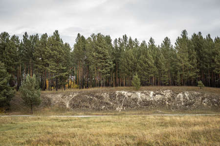 Beautiful picturesque landscape with a yellowed meadow, a coniferous forest and a cloudy autumn sky.の写真素材
