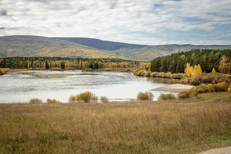 Beautiful natural landscape with an autumn forest and a pond. Bright yellow trees, a calm river and a cloudy sky.の写真素材