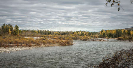 Autumn natural landscape. A fast river with a stony shore, a forest with yellow trees and a cloudy sky.の写真素材