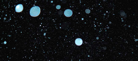 Blurred snowflakes on a dark background. Overlay image for snowfall effect.の写真素材
