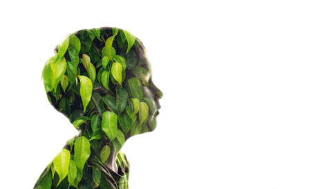 Isolated combination of the silhouette of a child face and a picture with green leaves. Concept of the connection between man and nature, caring for the environmentの写真素材