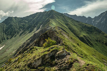 Summer landscape of a green mountain valley. The beauty of the Alpine, Caucasian mountains.の写真素材