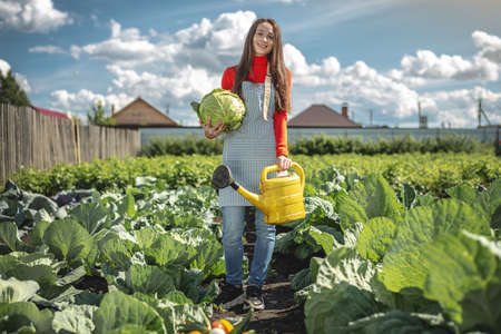 A young female agronomist-farmer irrigates plants from a yellow watering can in her garden. The joy of taking care of your home farmの写真素材