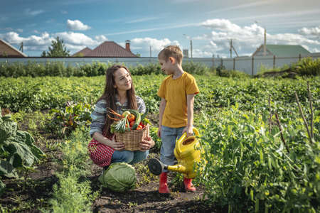 Son child and mother in the green garden harvest and carefully water the beds on a sunny summer day. The concept of healthy organic products grown in your gardenの写真素材