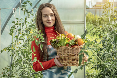 A young woman farmer agronomist collects fresh vegetables tomatoes in a greenhouse. Organic raw...