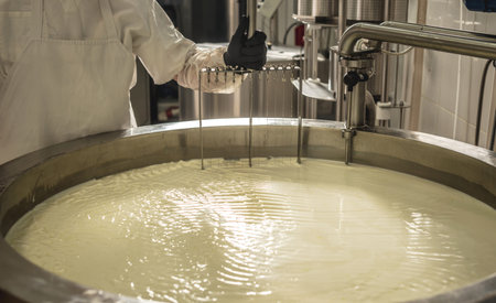 The process of producing different varieties of cheese in industry. Cheese-making from natural milk...