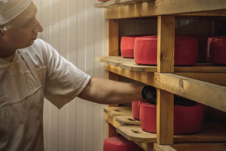 A farmer turns over cheese heads on wooden shelves in the cheese maturation storage. The concept of production of European cheeses and dairy productsの写真素材