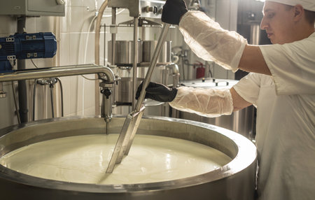 A man is a cheese maker in the process of producing different varieties of cheese in the industry. Concept of natural milk cheese making as a businessの写真素材