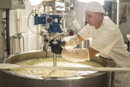 A man is a cheese maker in the process of producing different varieties of cheese in the industry. Concept of natural milk cheese making as a businessの写真素材