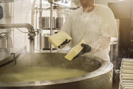 A man is a cheese maker in the process of producing different varieties of cheese in the industry. Concept of natural milk cheese making as a businessの写真素材