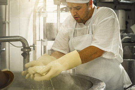 The process of producing different varieties of cheese in industry. Natural milk cheese making as a businessの写真素材