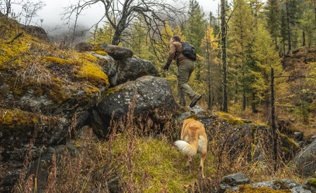 A hiker goes to the mountains with a red dog in the autumn forest. Freedom and active walks for a petの写真素材