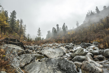 View of a rocky mountain river in the misty autumn forest. Colors of nature.の写真素材