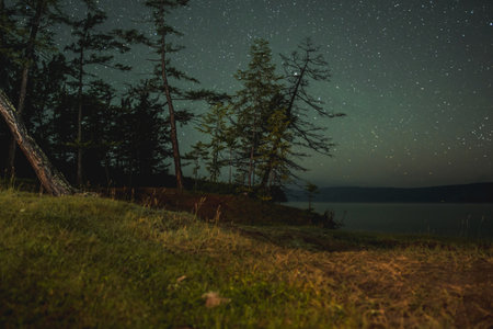 Night starry sky among coniferous trees on the shore of Lake Baikal. The Milky Way in the summer nature of the forest.の写真素材