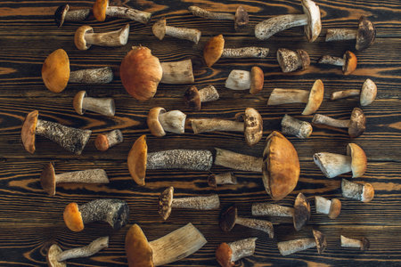 Forest raw fresh mushrooms are laid out on a wooden background. Beautiful rustic background.の写真素材