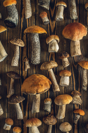 Forest raw fresh mushrooms are laid out on a wooden background. Beautiful rustic background.の写真素材