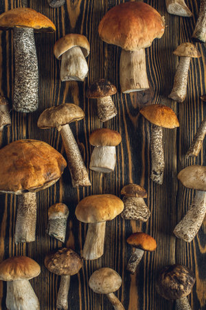 Forest raw fresh mushrooms are laid out on a wooden background. Beautiful rustic background.の写真素材