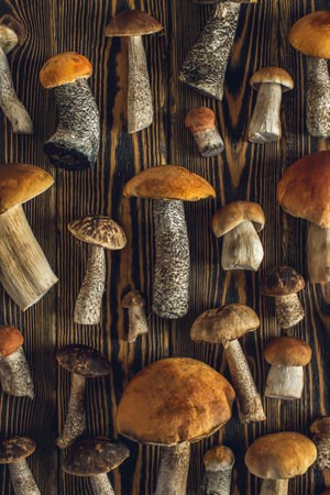 Forest raw fresh mushrooms are laid out on a wooden background. Beautiful rustic background.の写真素材