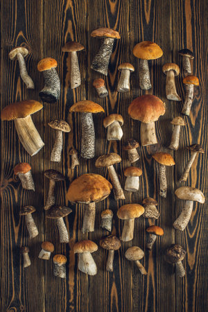 Forest raw fresh mushrooms are laid out on a wooden background. Beautiful rustic background.の写真素材