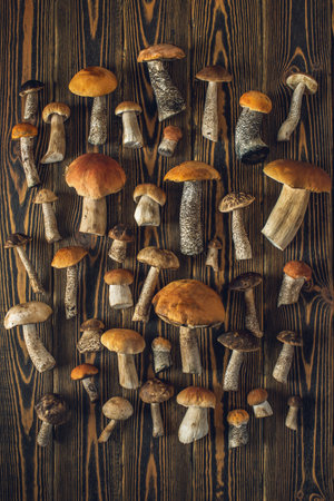 Forest raw fresh mushrooms are laid out on a wooden background. Beautiful rustic background.の写真素材