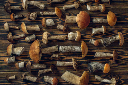 Forest raw fresh mushrooms are laid out on a wooden background. Beautiful rustic background.の写真素材