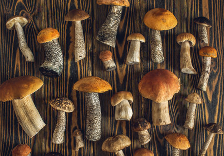 Forest raw fresh mushrooms are laid out on a wooden background. Beautiful rustic background.の写真素材