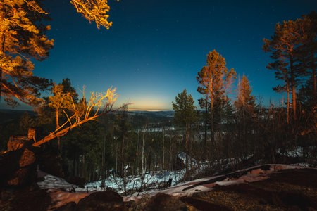 A starry night sky with sunset rays among coniferous trees. The Milky Way in the winter nature of the forest.の写真素材