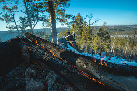 A bonfire made of large logs against the background of a winter forest on a sunny, clear day. The concept of tourism and winter hikes.の写真素材