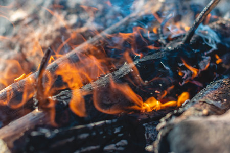 A bonfire made of large logs with orange flames and smoke in close-up. The concept of tourism and...