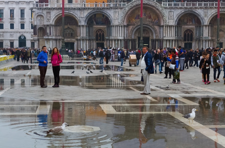 Venice, Italy - October 15, 2014: Tourists look at two gulls at the San Marco square. Part of the main square of Venice is flooded with water. Local residents call this phenomenon "aqua alta"のeditorial素材