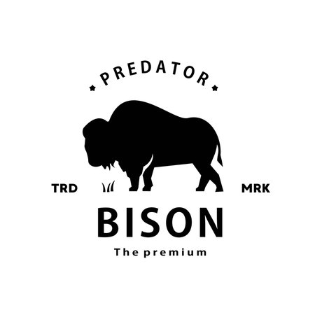 vintage retro hipster bison logo vector outline bull silhouette art iconのイラスト素材