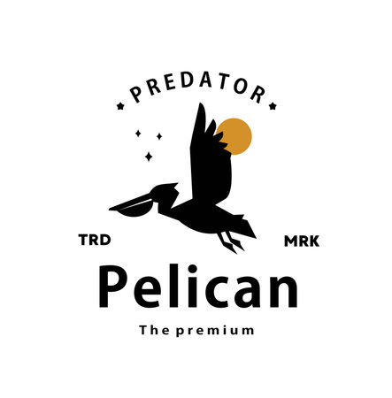 vintage retro hipster pelican logo vector outline silhouette art iconのイラスト素材