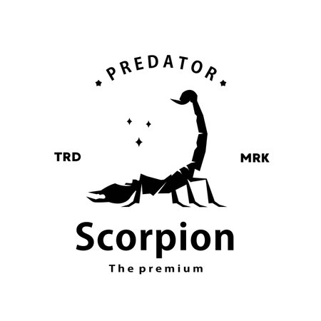 vintage retro hipster scorpion logo vector outline silhouette art iconのイラスト素材