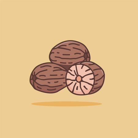 vector illustration of the nutmeg spice logo icon, nutmeg kitchen spice for the cooking industryのイラスト素材