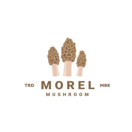 Morel mushroom logo illustration suitable for vegetable shops and gardens