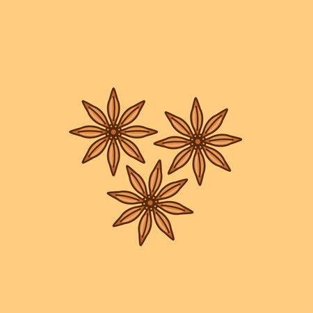 illustration of the star anise spice logo icon, star anise kitchen spice for the cooking industryのイラスト素材