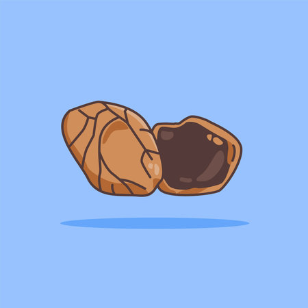 illustration of the kluwek spice logo icon, kluwek kitchen spice for the cooking industryのイラスト素材
