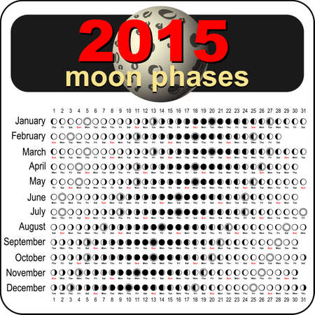 Vector moon calendar planner schedule  2015のイラスト素材
