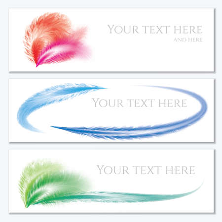 Set of banners with feathers. Banner with your text here.のイラスト素材