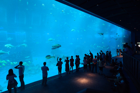 Singapore - June 19, 2015: Tourist People watch fish in the Main tank of SEA Aquarium in Singapore.のeditorial素材