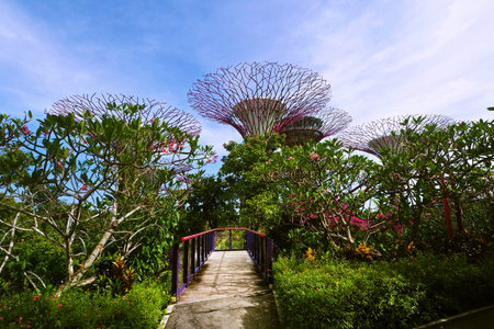 Garden by The Bay, Singapore - 20 June 2015: Day view entrance of The Supertree Grove at Gardens by...