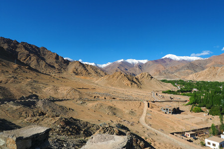 Leh Ladakh city view. Beautiful amazing village with forest in the valley with snow mountain at background. Ladakh, India.の写真素材
