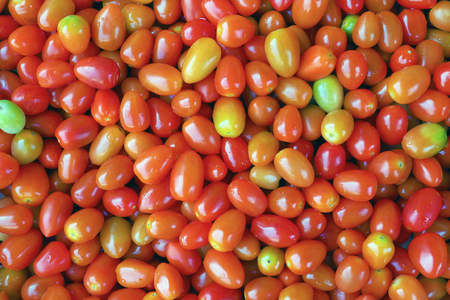 Small many tomatoes background texture photoの写真素材